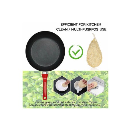 8 PACK Esponja Vegetal Eco-Friendly de Loofah, Compostable, Biodegradable Para Trastes, Platos Anti Rayones, Amigable con el Am