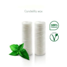 Hilo dental ecológico, vegano hecho de maíz, compostable, encerado con cera de candelilla orgánica, sabor menta 2 PACK