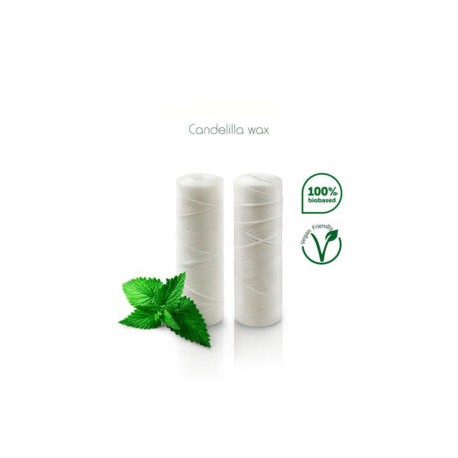 Hilo dental ecológico, vegano hecho de maíz, compostable, encerado con cera de candelilla orgánica, sabor menta 2 PACK