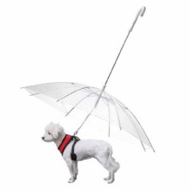 Paraguas para perro